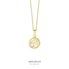 Juwelen aucielle